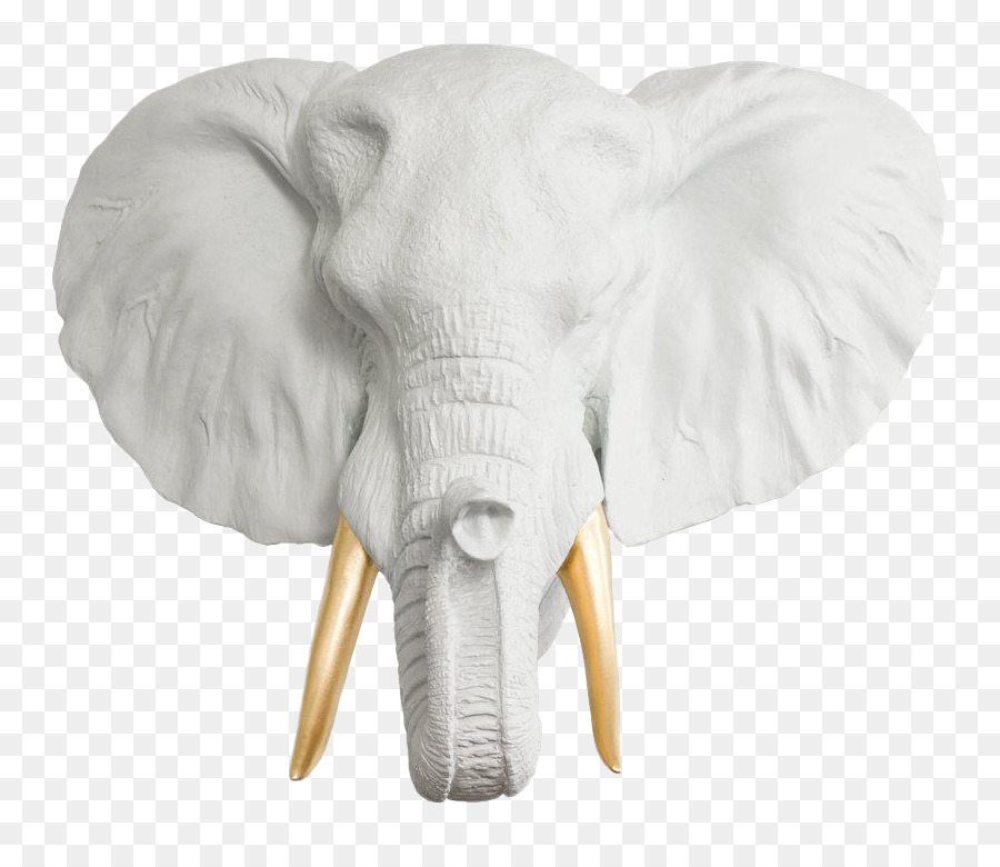 Elefante Indio，El Elefante Africano PNG