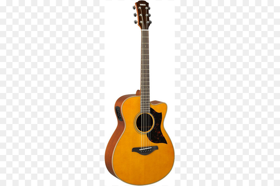 Guitarra，Instrumentos De Cuerda PNG