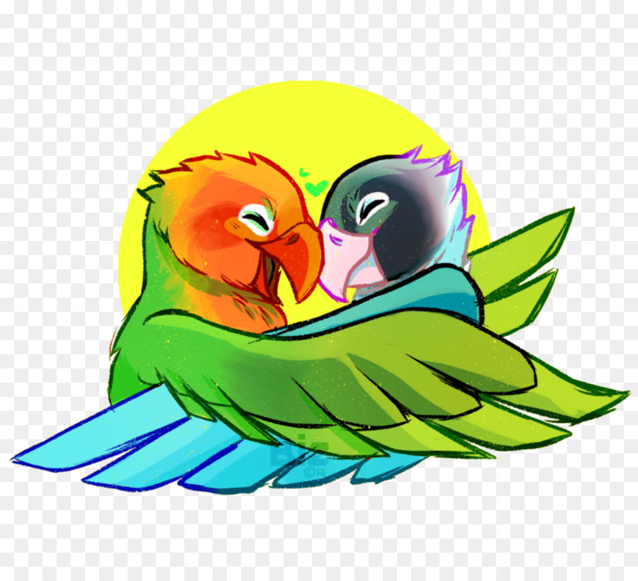 Pájaros Coloridos，Loros PNG