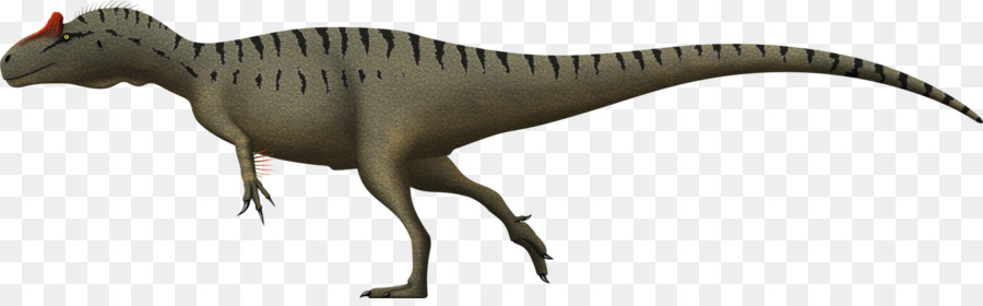 Tyrannosaurus，Allosaurus PNG