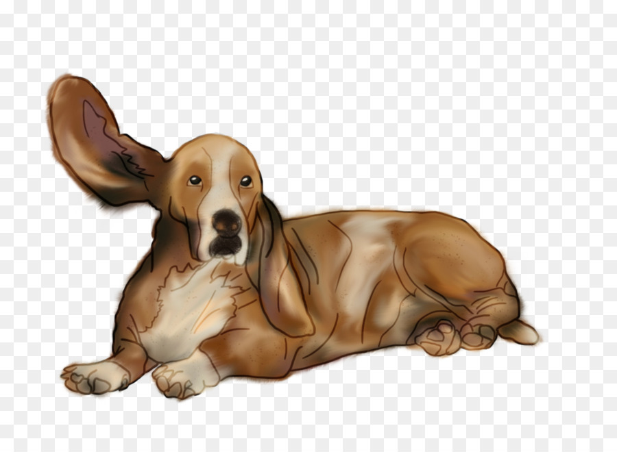 Sabueso，Perro PNG