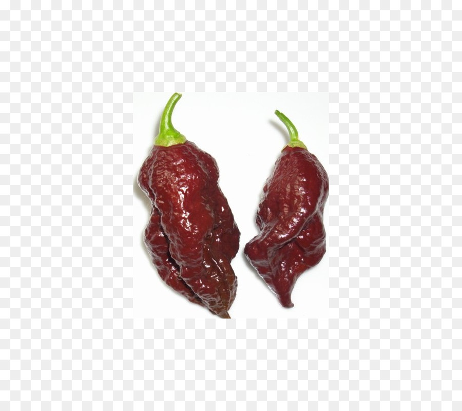 Habanero，Bhut Jolokia PNG