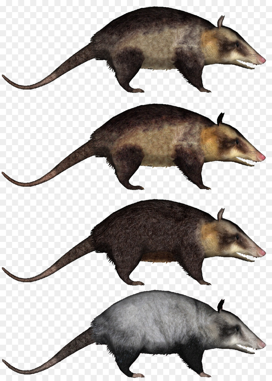 Animales Prehistóricos，Prehistórico PNG