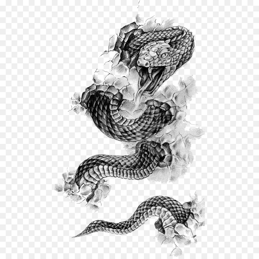 La Serpiente，Tatuaje PNG