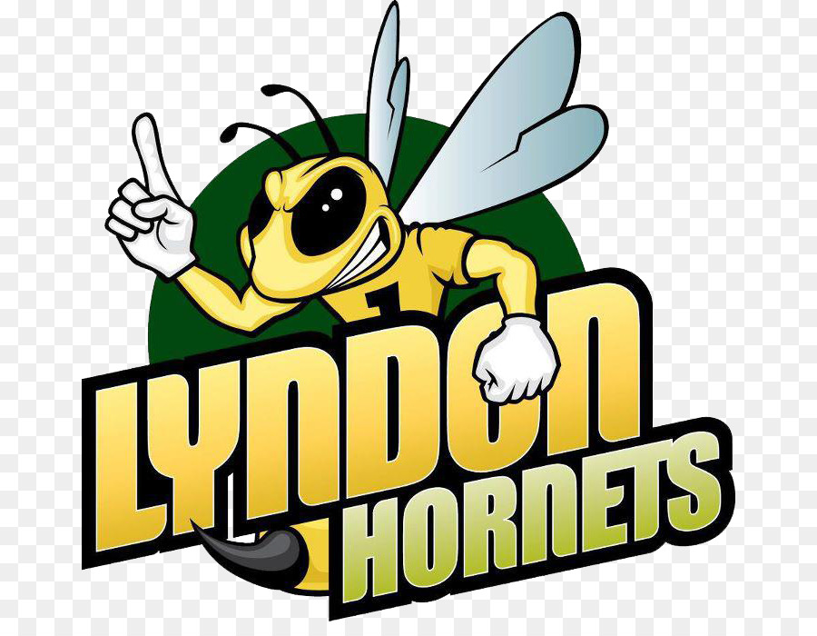 Lyndon State College，Lyndon State Hornets Baloncesto Masculino PNG