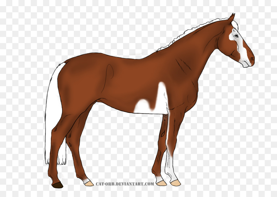 Caballo，Equino PNG