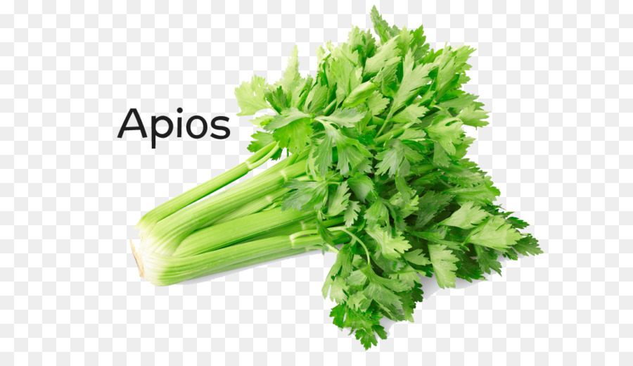 Apio，Vegetal PNG