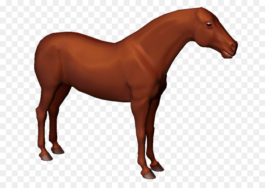 Caballo，La Física PNG