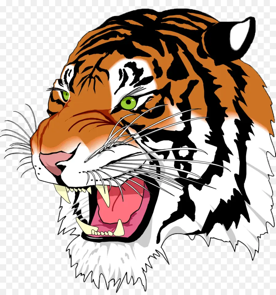 Tigre De Bengala，Una Fotografía De Stock PNG