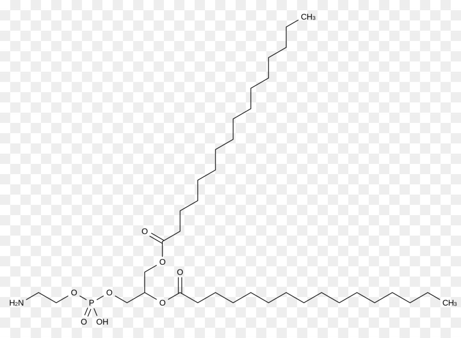 Dipalmitoilfosfatidilcolina，Surfactante PNG