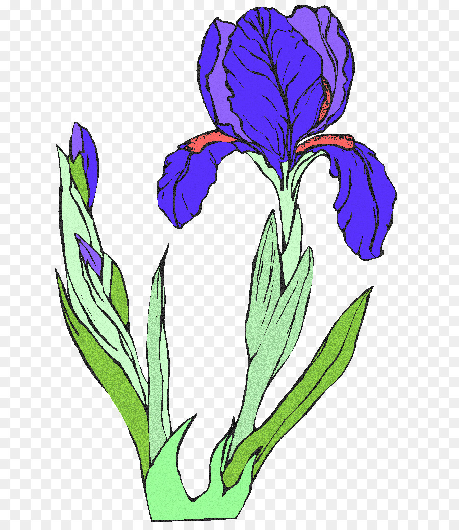 Flor De Iris，Púrpura PNG