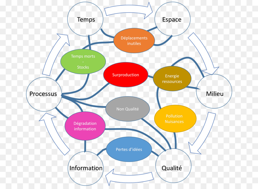 Mapa Mental，Educación PNG