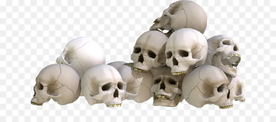 Calaveras，Huesos PNG