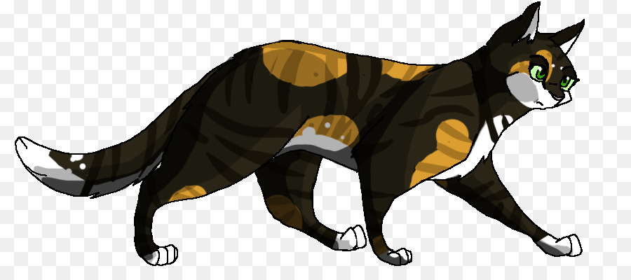 Gato，Leopardo PNG