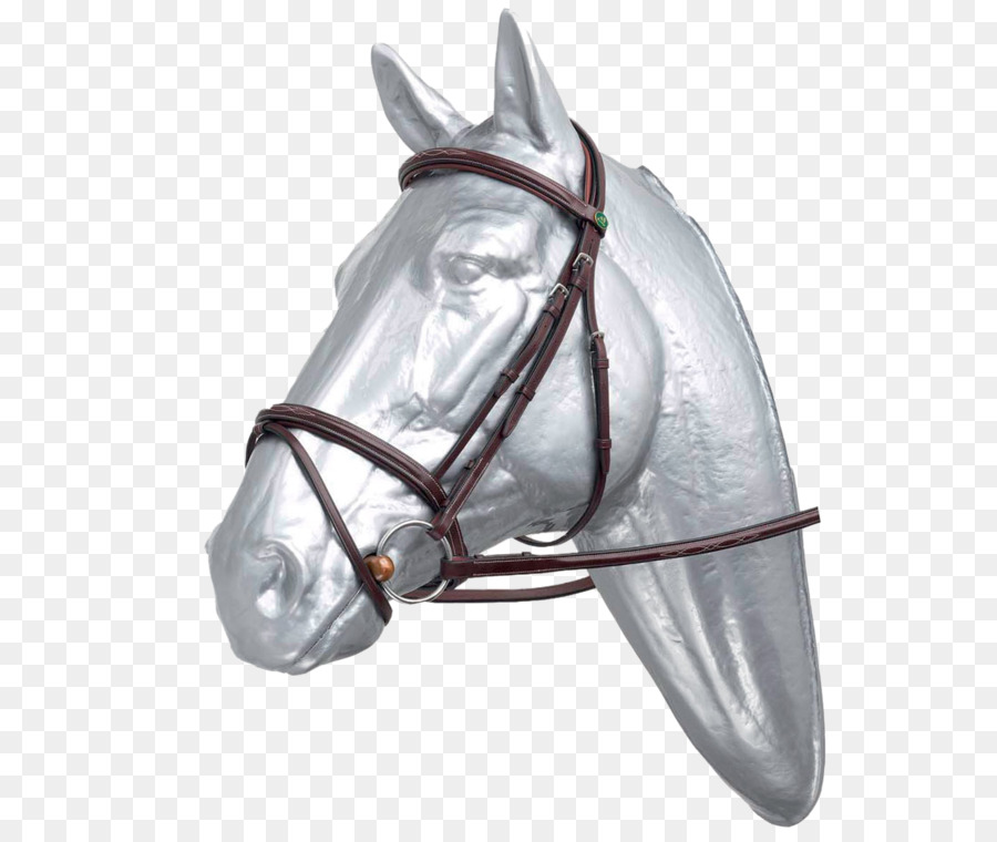 Caballo，Brida PNG