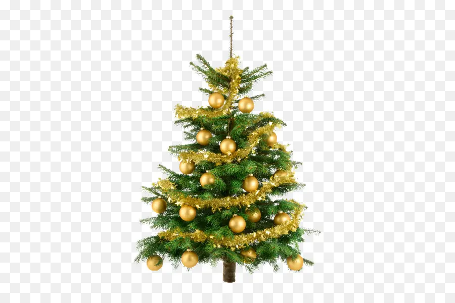 árbol De Navidad，La Navidad PNG