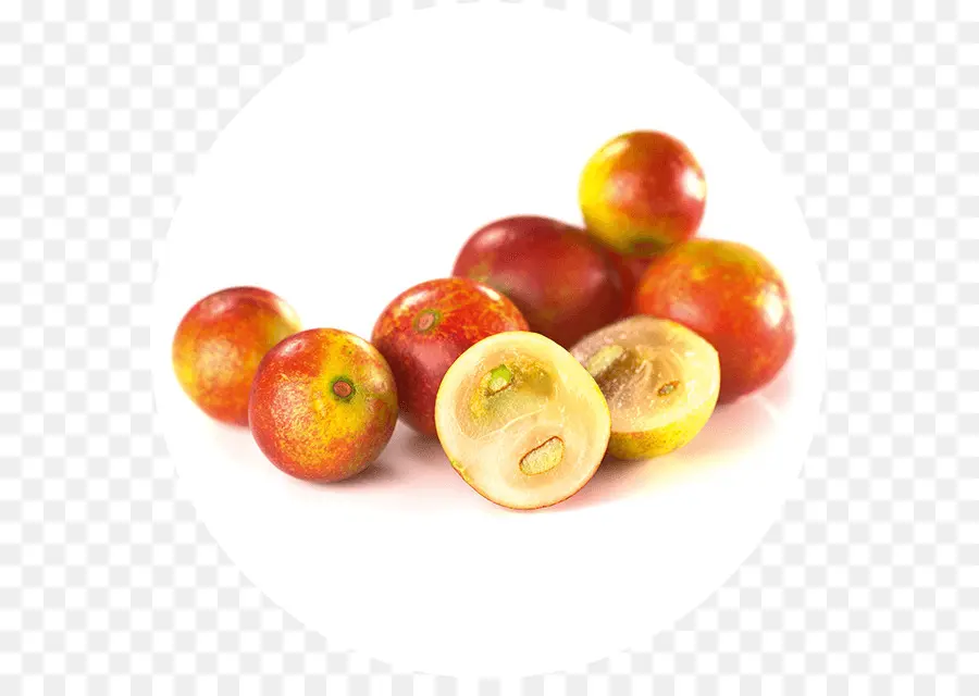 Camu Camu，La Selva Amazónica PNG