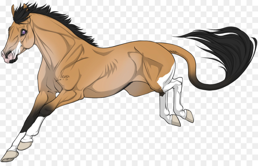 Foal，Mane PNG