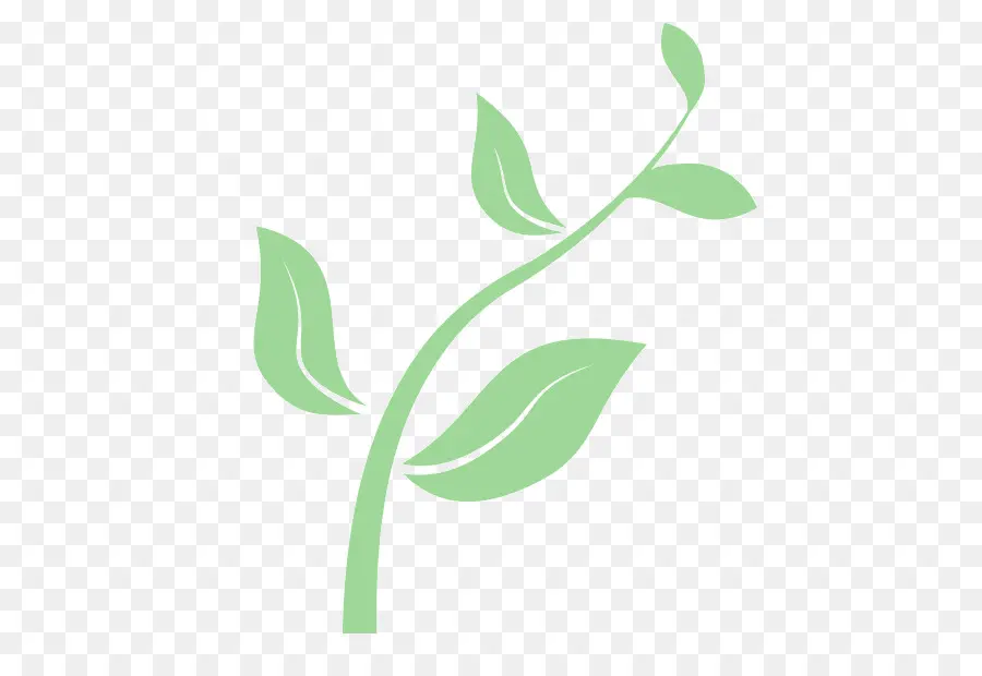 Planta Verde，Hojas PNG