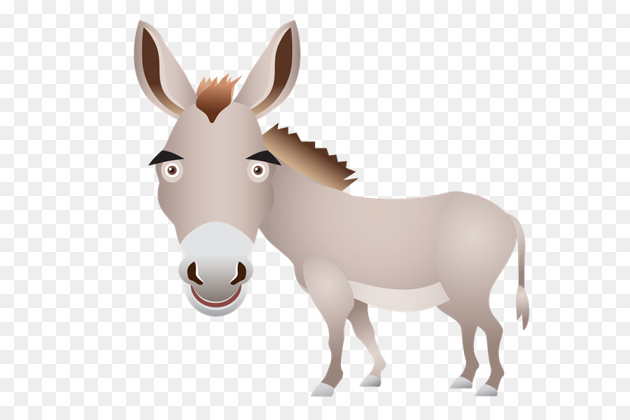 Mula，Burro PNG