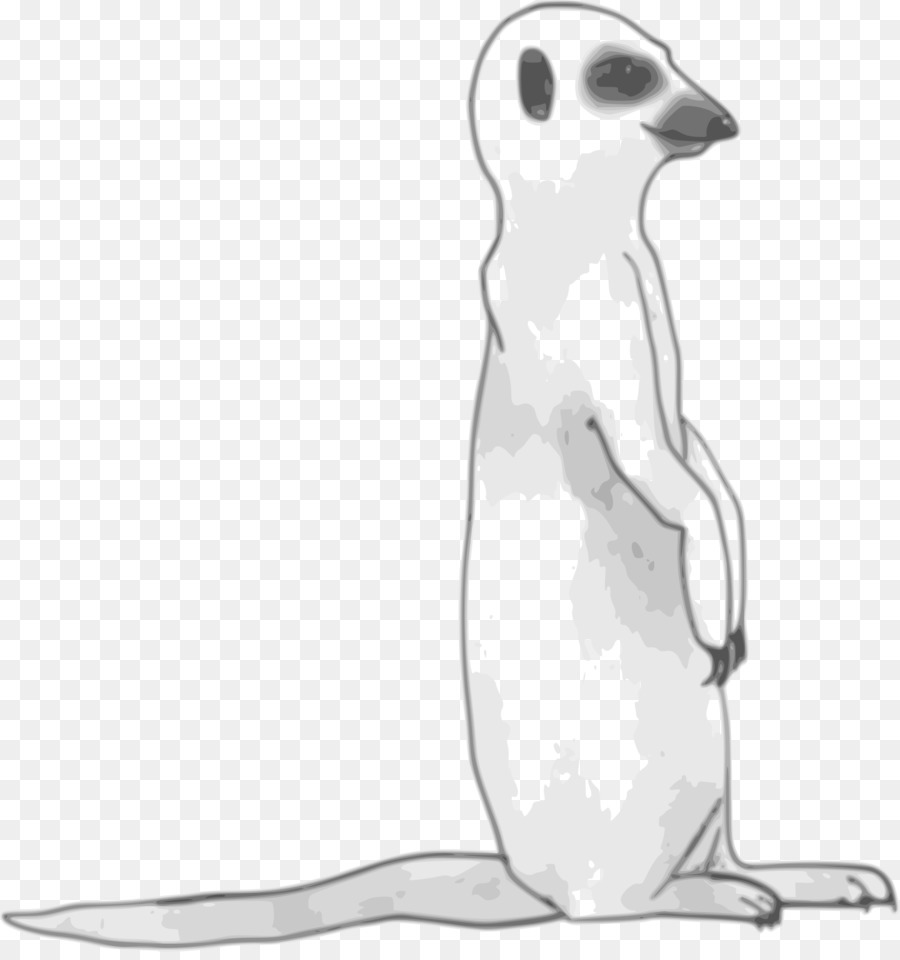 Suricata，Iconos De Equipo PNG