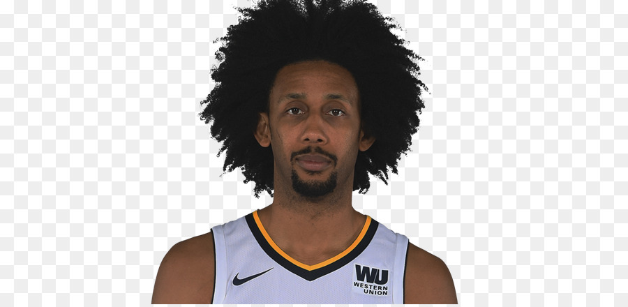 Josh Childress，Atlanta Hawks PNG