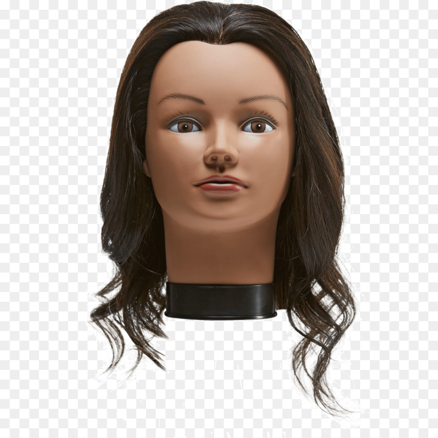 Cabeza De Maniquí，Maniquí PNG