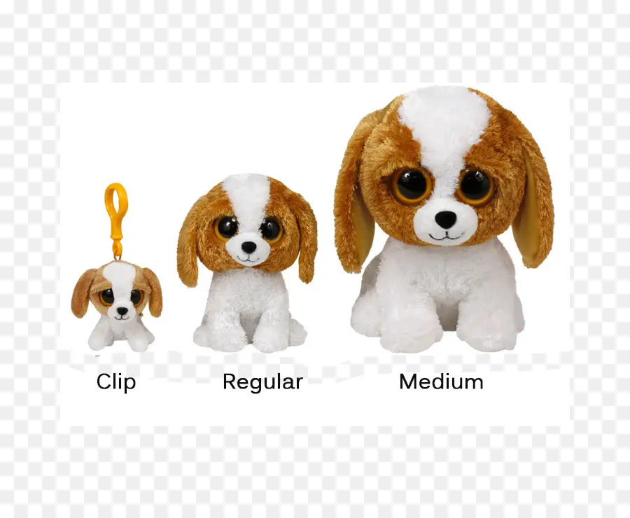 Rey Cavalier Charles Spaniel，Rey Charles Spaniel PNG