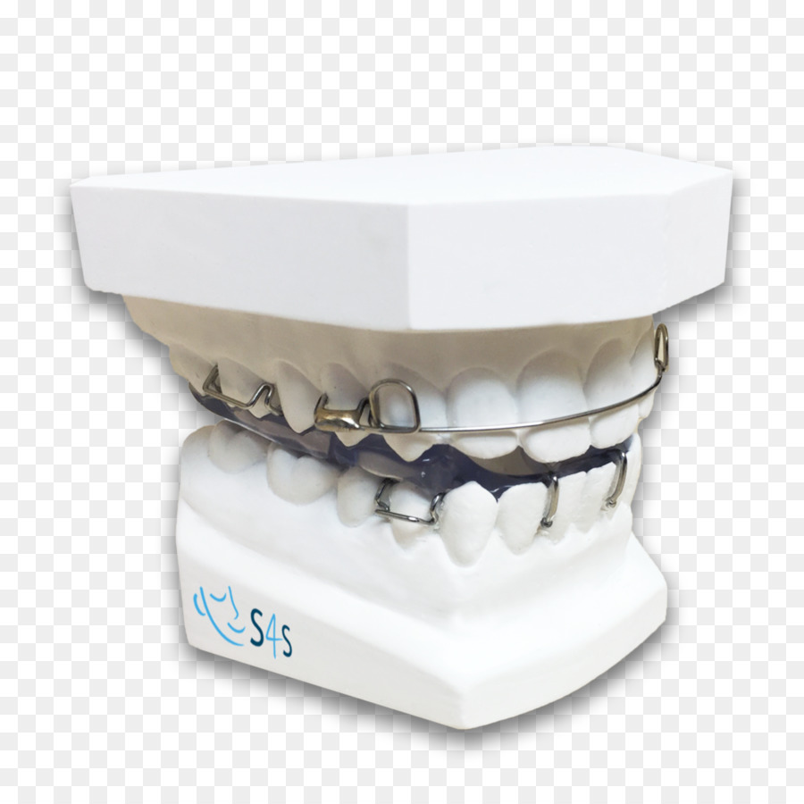 Modelo Dental，Dientes PNG