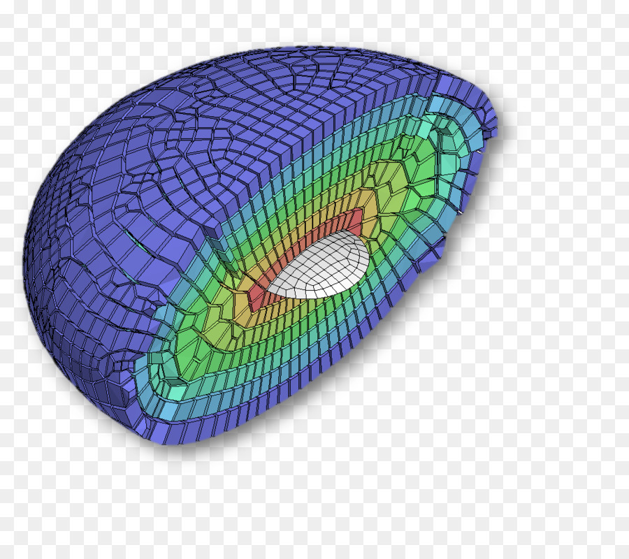 Imagebased Mallado，Hexahedron PNG