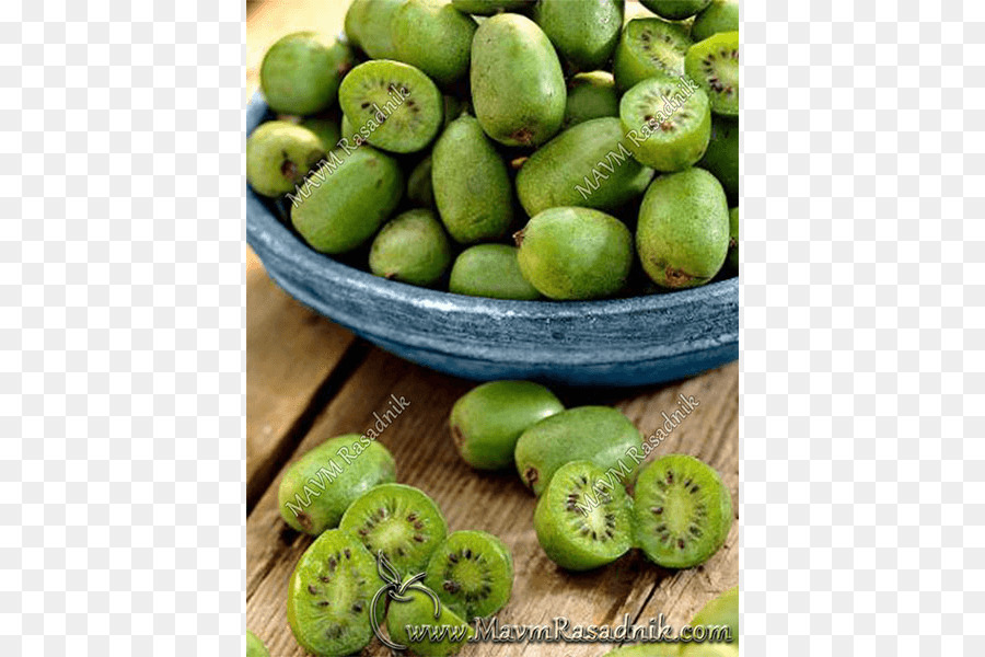 Hardy Kiwi，Actinidia Deliciosa PNG