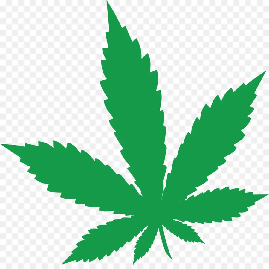 El Cannabis，El Cannabis Medicinal PNG