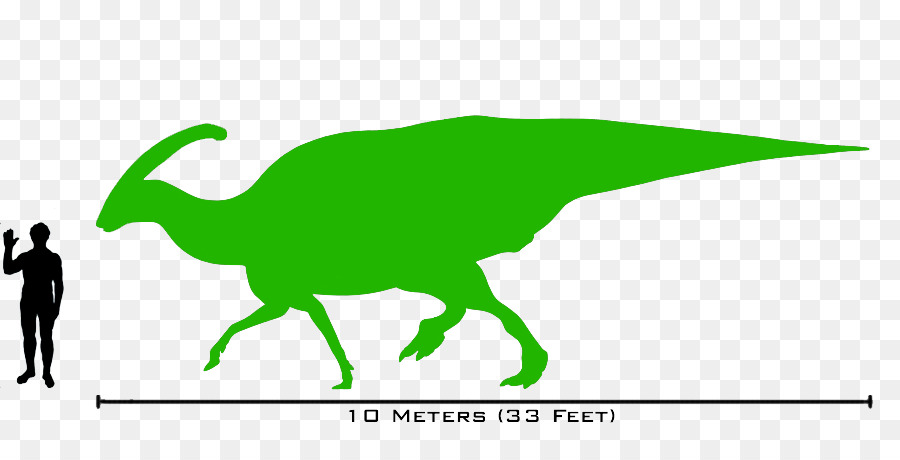 Lambeosaurus，Parasaurolophus PNG