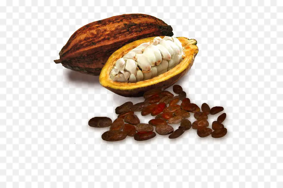 Grano De Cacao，Chocolate Blanco PNG