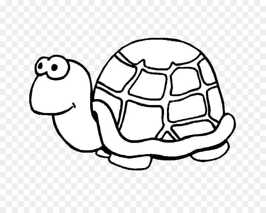 Tortuga，Dibujo PNG