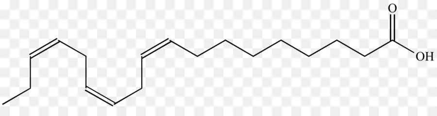 El ácido Oleico，El ácido Linoleico PNG