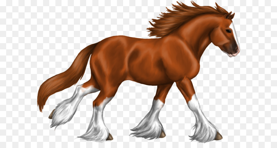 Caballo Marrón，Equino PNG