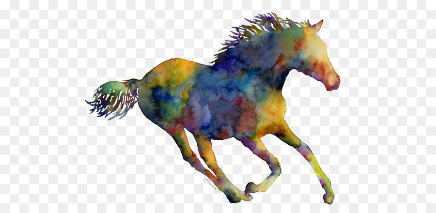 Caballo，Equino PNG