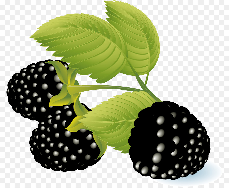 Berry，Frambuesa PNG