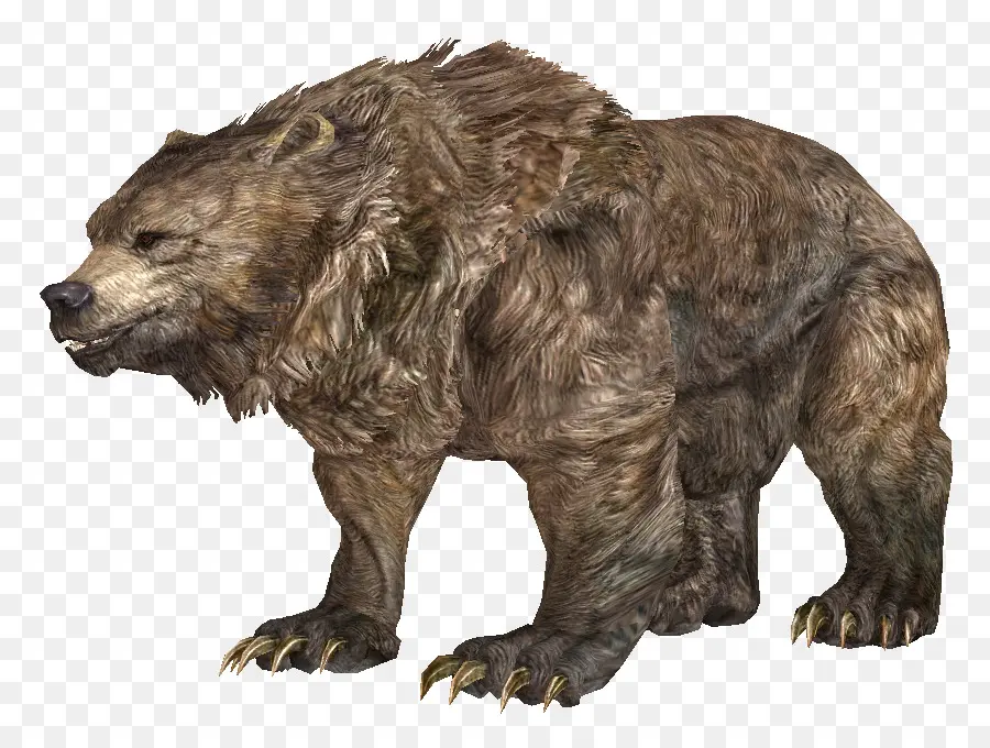 Oso Grizzly，Cueva PNG