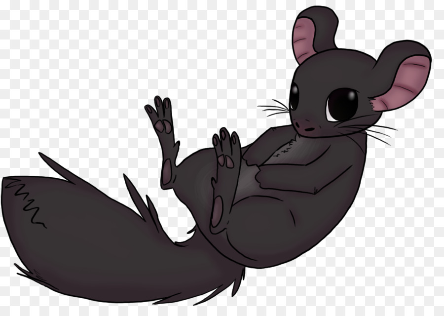 Conejo，Chinchilla PNG