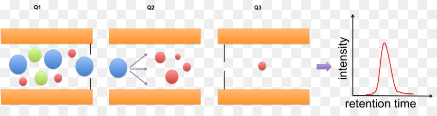 Proceso De Cromatografía，Tiempo De Retención PNG