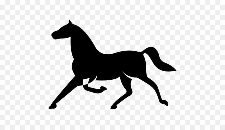 Caballo Negro，Caballo PNG