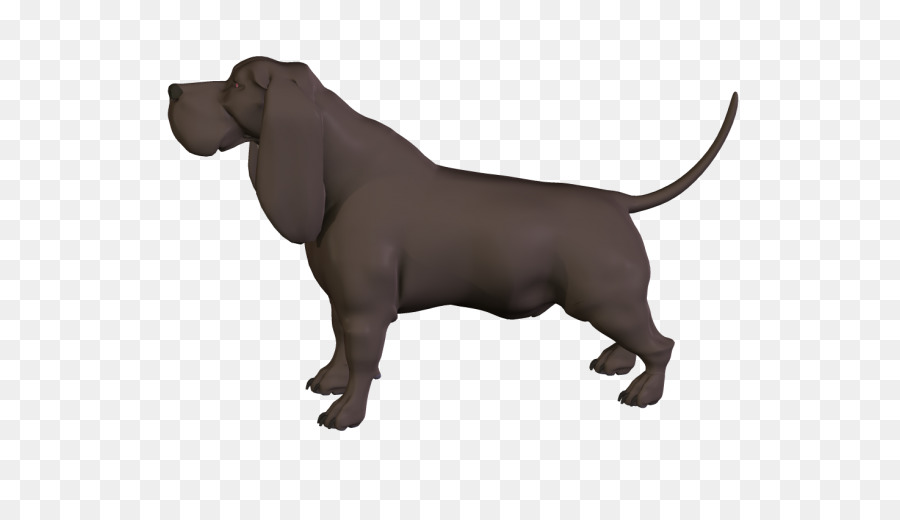 Raza De Perro，Cachorro PNG