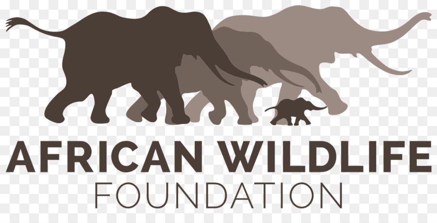 African Wildlife Foundation，Kenia PNG