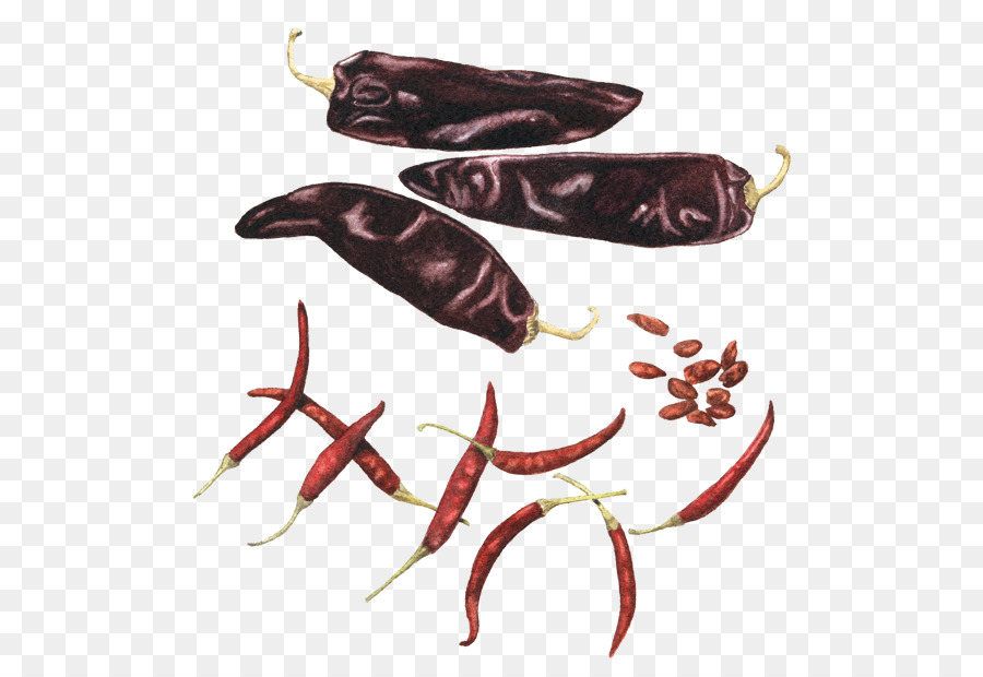 Chiles Secos，Especias PNG