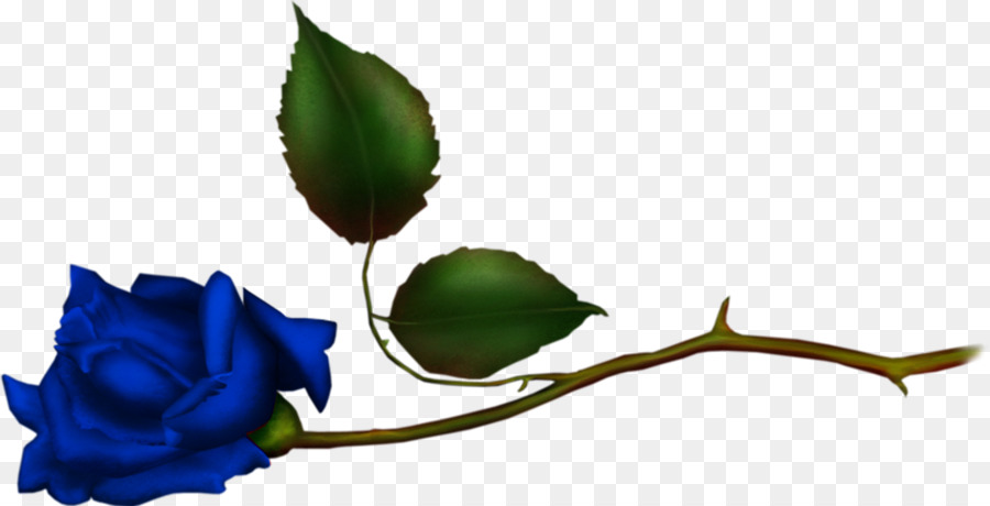 Las Rosas De Jardín，Rosa Azul PNG