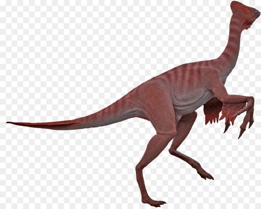 Velociraptor，Moab Gigantes PNG