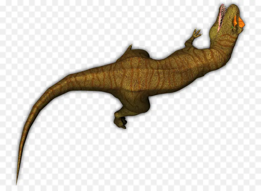 Tyrannosaurus，Allosaurus PNG