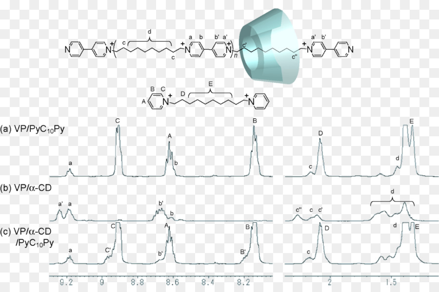 La Química Supramolecular，Ciclodextrina PNG